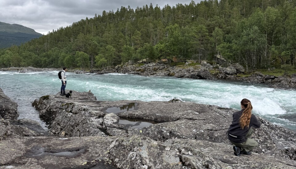 Fra familieferie i Jotunheimen i sommer hvor vi reiste sammen med alle våre tre barn og barnebarn. Det finnes så mange flotte opplevelser i Norge.